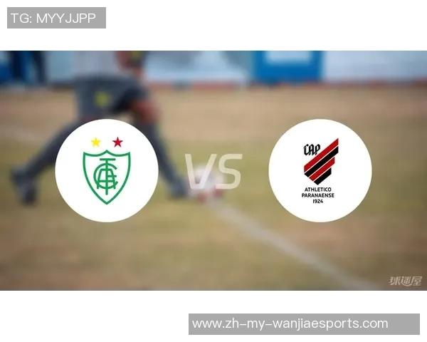 米竞技对阵巴西国际比赛数据分析与统计解读全面解析